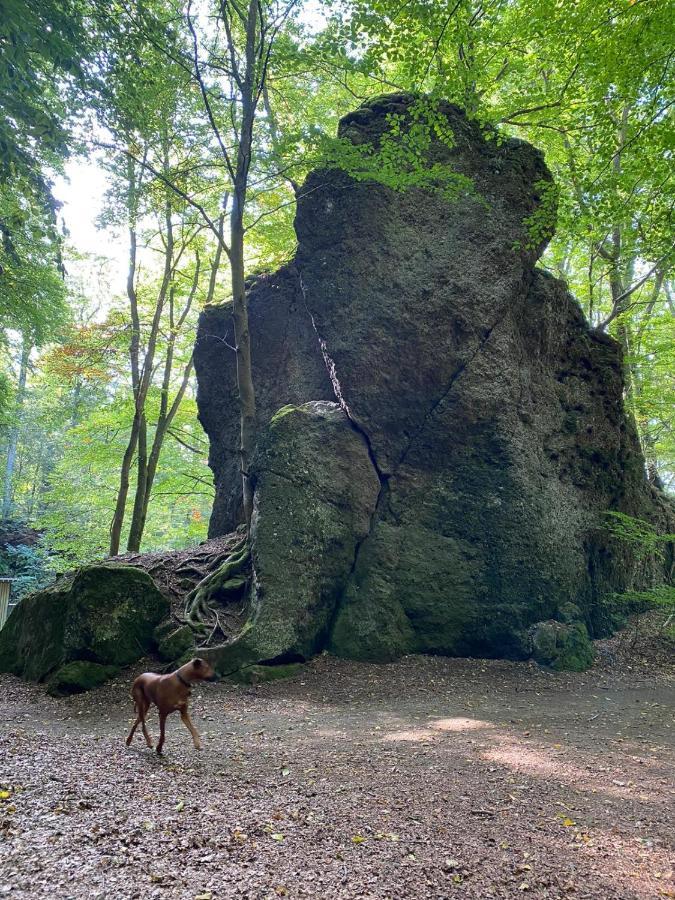 Ferienhaus Waldblick Hohenfels-Essingen Exterior foto